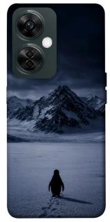 Чохол на OnePlus Nord CE 3 Lite But why? фото 1 з 1