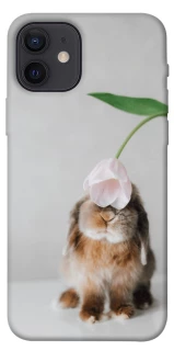 Чохол на Apple iPhone 12 (6.1") Bunny фото 1 з 1