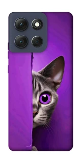 Чехол на Motorola Moto G86 Кот-подглядыватель фото 1 Чехол на Motorola Moto G86 Кот-подглядыватель фото 1 из 1