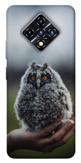 Чехол на Infinix Zero 8 Совёнок фото 1 из 1