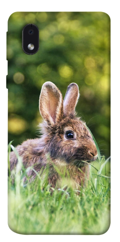 Чехол на Samsung Galaxy M01 Core / A01 Core Кролики фото 1 из 1