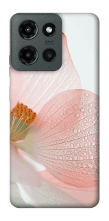 Чохол на Motorola Moto G Power (2025) Flowers zon фото 1 Чохол на Motorola Moto G Power (2025) Flowers zon фото 1 з 1