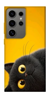 Чохол на Samsung Galaxy S24 Ultra This is Cat фото 1 з 1