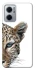 Чохол на Xiaomi Redmi Note 11E Leopard Art v2 фото 1 з 1