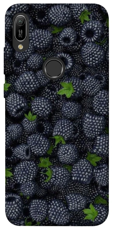 Чохол на Huawei Y6 (2019) Fresh фото 1 з 1