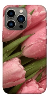 Чохол на Apple iPhone 13 Pro (6.1") Beauty фото 1 з 1