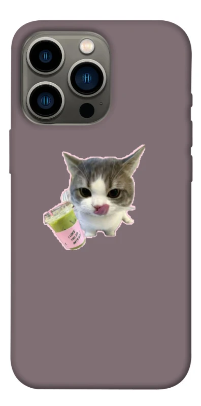 Чохол на Apple iPhone 13 Pro (6.1") cat matcha фото 1 з 1