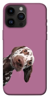 Чохол на Apple iPhone 14 Pro Max (6.7") А що тут фото 1 з 1