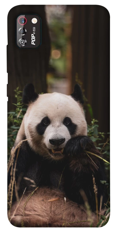 Чехол на TECNO POP 4 Pro Панда фото 1 из 1