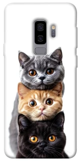 Чохол на Samsung Galaxy S9+ Гарні котики фото 1 з 1