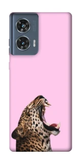 Чехол на Motorola Edge 50 Leopard Meow фото 1 из 1