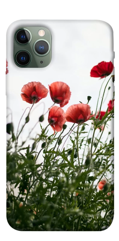 Чехол на Apple iPhone 11 Pro (5.8") Поле маков фото 1 из 1