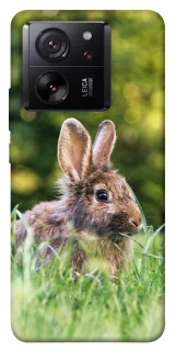Чохол на Xiaomi 13T Pro Кролики фото 1 з 1