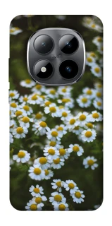 Чехол на Xiaomi Redmi Note 15 Pro 5G Ромашки v13 фото 1 из 1