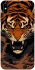 Чехол на Apple iPhone X (5.8") cool tiger фото 1 из 1