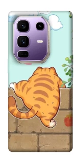 Чехол на Infinix Note 50 Pro+ Cat the meow фото 1 Чехол на Infinix Note 50 Pro+ Cat the meow фото 1 из 1