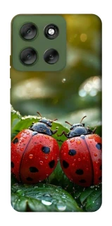 Чохол на Motorola Moto G56 5G Flowers v23 фото 1 з 1