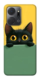 Чехол на Huawei Honor X7a Black cat v2 фото 1 из 1