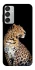 Чохол на Samsung Galaxy M15 5G Leopard v2 фото 1 з 1