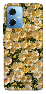 Чехол на Xiaomi Poco X5 5G Camomile фото 1 из 1
