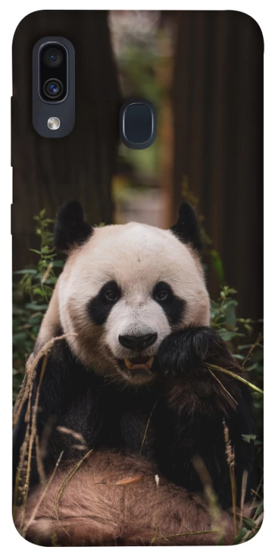 Чехол на Samsung Galaxy A20 / A30 Панда фото 1 из 1