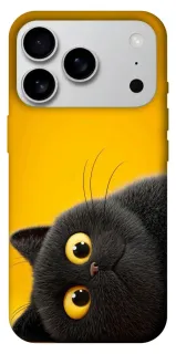 Чехол на Apple iPhone 18 Pro Max This is Cat фото 1 из 1