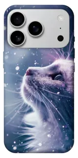 Чехол на Apple iPhone 18 Pro Max Snow cat фото 1 из 2