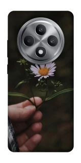 Чехол на Oppo Reno 12 F 4G Ромашка v4 фото 1 из 1