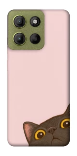 Чехол на Motorola Moto G15 4G Peeping cat фото 1 Чехол на Motorola Moto G15 4G Peeping cat фото 1 из 1