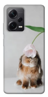 Чохол на Xiaomi Redmi Note 12 Pro 5G Bunny фото 1 з 1