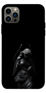 Чехол на Apple iPhone 12 Pro (6.1") Angel фото 1 из 1