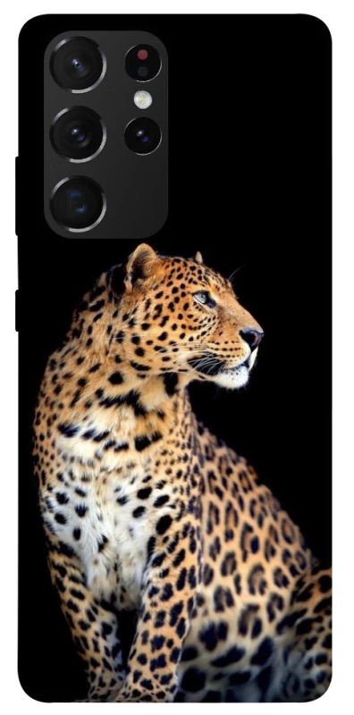 Чехол на Samsung Galaxy S21 Ultra Leopard v2 фото 1 из 1