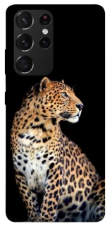 Чехол на Samsung Galaxy S21 Ultra Leopard v2 фото 1 из 1