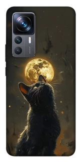 Чохол на Xiaomi 12T / 12T Pro Кіт під місяцем v2 фото 1 з 1