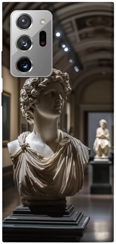 Чехол на Samsung Galaxy Note 20 Ultra statue фото 1 из 1