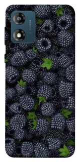 Чохол на Motorola Moto E13 Fresh фото 1 з 1