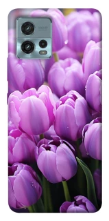 Чохол на Motorola Moto G72 Фіолетові тюльпани фото 1 з 1