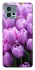 Чохол на Motorola Moto G72 Фіолетові тюльпани фото 1 з 1