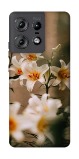 Чохол на Motorola Edge 50 Pro Лілії фото 1 з 1