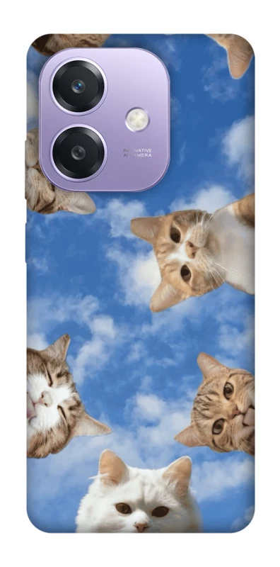 Чехол на Oppo A3 4G Сats фото 1 из 1