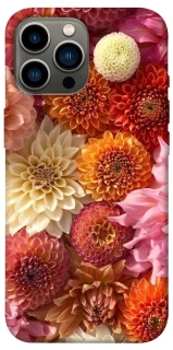 Чехол на Apple iPhone 13 Pro Max (6.7") Bouquet фото 1 из 1