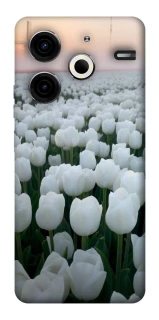 Чехол на TECNO Pova 6 Neo (LI6) Flowers v1 фото 1 Чехол на TECNO Pova 6 Neo (LI6) Flowers v1 фото 1 из 1