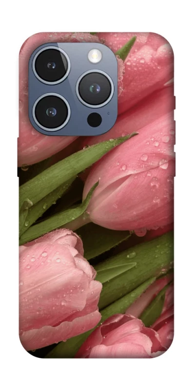 Чохол на Apple iPhone 16 Pro Beauty фото 1 з 1