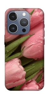 Чохол на Apple iPhone 16 Pro Beauty фото 1 з 1