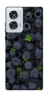 Чохол на Motorola Edge 50 Fusion Fresh фото 1 з 1