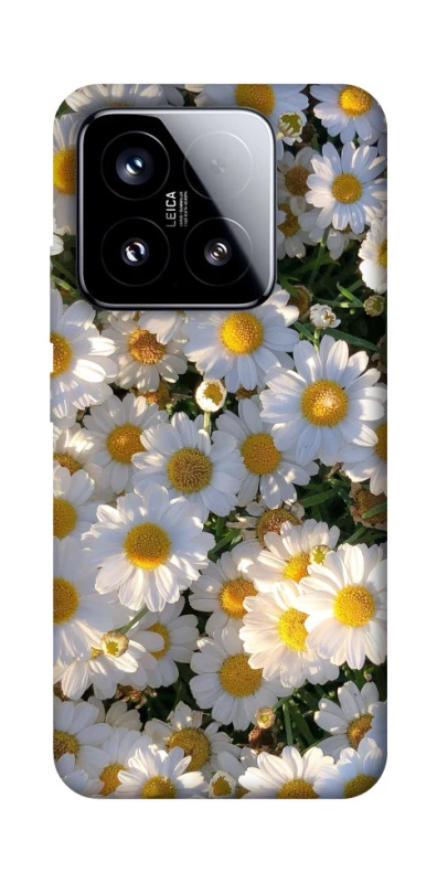 Чохол на Xiaomi 15 Поле ромашок фото 1 з 1