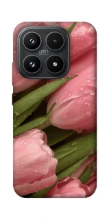 Чохол на Xiaomi 17 Beauty фото 1 з 1