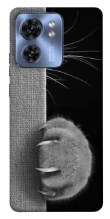 Чехол на Motorola Edge 40 Spy Cat фото 1 из 1