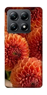 Чохол на Xiaomi 14T Pro Flower1 фото 1 з 1