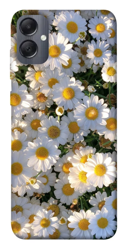 Чохол на Samsung Galaxy A05 Поле ромашок фото 1 з 1